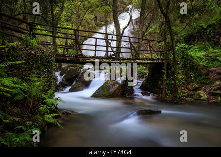 Lange Exposition Der cabreia Wasserfall (Cascata da cabreia), Serra da Cabrera, Sever do Vouga, Portugal Stockfoto