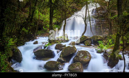 Lange Exposition Der cabreia Wasserfall (Cascata da cabreia), Serra da Cabrera, Sever do Vouga, Portugal Stockfoto