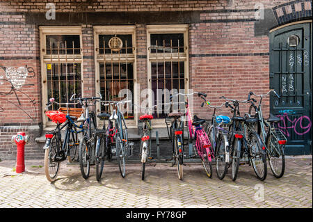 Niederlande. Drei Kinder sitzen in einem speziellen Fahrrad-Korb in  Amsterdam und legen den Sicherheitsgurt an Stockfotografie - Alamy