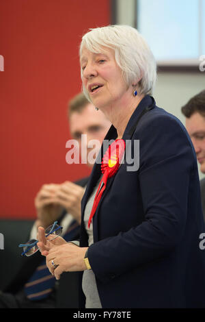 Jenny Rathbone Arbeit bin für Cardiff zentrale an der National Assembly for Wales. Stockfoto