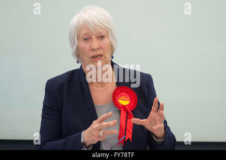 Jenny Rathbone Walisisch Arbeitsrecht AM für Cardiff Central in der Nationalversammlung Senedd in Cardiff, Wales. Stockfoto