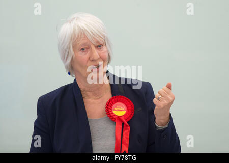 Jenny Rathbone Walisisch Arbeitsrecht AM für Cardiff Central in der Nationalversammlung Senedd in Cardiff, Wales. Stockfoto