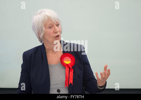 Jenny Rathbone Arbeit bin für Cardiff zentrale an der National Assembly for Wales. Stockfoto