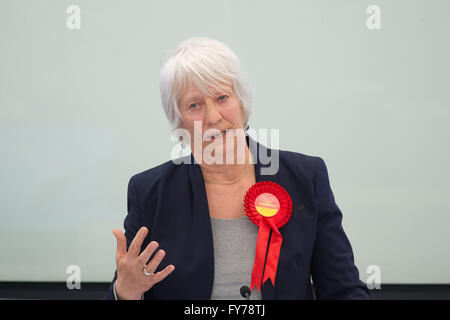 Jenny Rathbone Walisisch Arbeitsrecht AM Ratsmitglied in der Nationalversammlung in Wales. Stockfoto