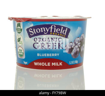 Winneconne, Wisconsin - 5. März 2016: ein Behälter mit Stonyfield Bio Joghurt Heidelbeere Geschmack. Stockfoto