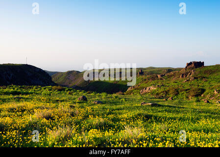 Eurasien, Kaukasus, Armenien, Provinz Aragatsotn, Amberd 7. Jahrhundert Festung liegt an den Hängen des Mt Aragats und Mt A Stockfoto