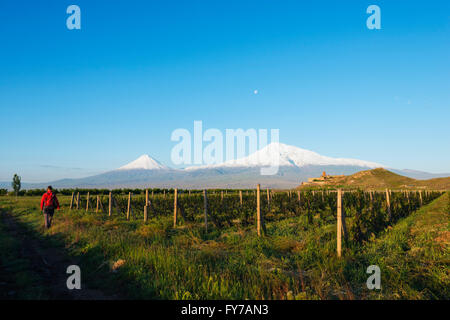 Eurasien, Kaukasus, Armenien, Kloster Khor Virap, Berg Ararat (5137m) höchster Berg in der Türkei aus Armen fotografiert Stockfoto