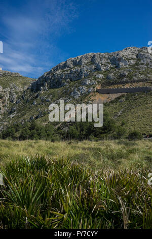 Klippen in Formentor, Region nördlich von der Insel Mallorca in Spanien Stockfoto