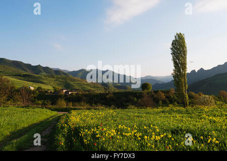 Eurasien, Caucasus Region, Armenien, Tawusch Provinz, Chinari, ländliche Landschaft Stockfoto