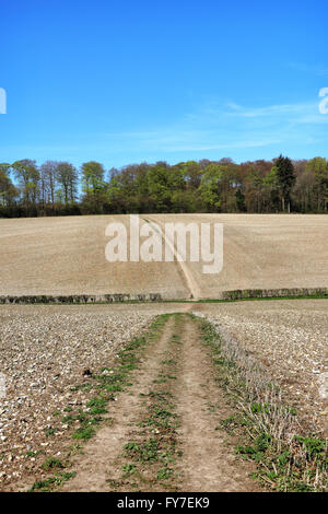 Eine englische ländlichen Landschaft mit Weg durch ein Feld in den Chiltern Hills Stockfoto