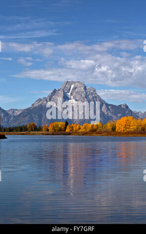 WYOMING - Mount Moran und Espe Bäume im Herbst Farbe aus dem Snake River in Oxbow Bend im Grand Teton National Park. Stockfoto