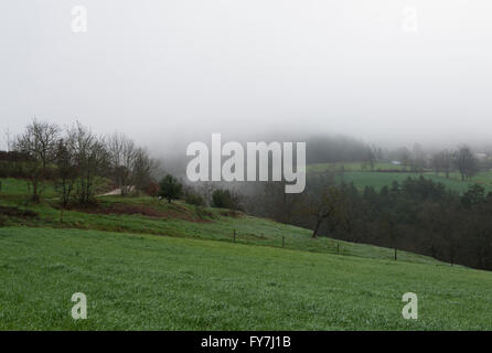 Nebligen Ackerland in der Region Rhône-Alpes im Frühjahr Stockfoto