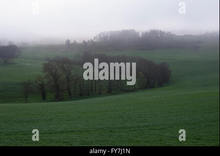 Nebligen Ackerland in der Region Rhône-Alpes im Frühjahr Stockfoto