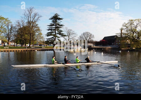 Ruderer aus Stratford-upon-Avon Ruderverein am Fluss Avon mit der Bancroft Gardens im Hintergrund. Stockfoto