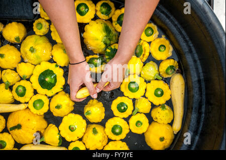 Begriff Farm am Upper Marlboro CMREC Stockfoto