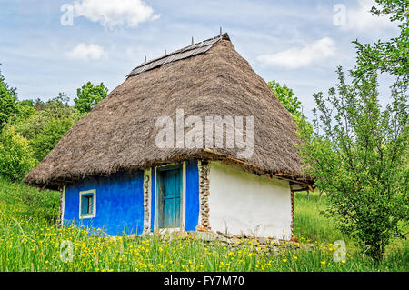 Weißen und blauen Ton Altbau mit einem Strohdach und freiliegenden Holzbalken in einem Feld von gelben Blüten. Stockfoto
