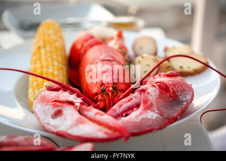 Frischer Hummer mit Mais und Kartoffeln (flache Tiefe des Feldes) Stockfoto