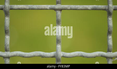 Blick durch die Lücken von einem Metallzaun. Stockfoto