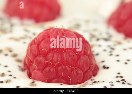 Himbeer Joghurt mit Chia-Samen Stockfoto