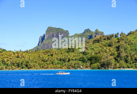 Küste Blick auf Bora Bora, Französisch-Polynesien mit Palmen, Mount Otemanu und Mount Pahia und blauer Himmel an einem klaren sonnigen Tag Stockfoto