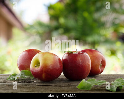 Nahaufnahme der schöne frische Äpfel auf farbigem Hintergrund Stockfoto