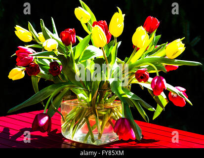 Strauß Bunte Tulpen in hellem Licht Stockfoto
