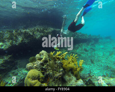 Am Deadman Reef Abenteuer Freeport Bahamas Korallenriff schnorcheln Stockfoto