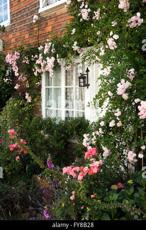 Kent, UK, Glocken Lane, Rosen um Tür der Fliese, Tenterden hing Haus mit attraktiven kleinen Blumengarten Stockfoto