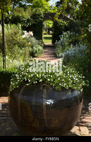 Weiße Garten, Keramik Glas Herzstück mit kleinen weißen Blüten gepflanzt, Sissinghurst Castle, Kent, UK Stockfoto