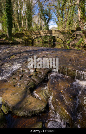 Einem sonnigen Frühlingstag im Rivelin Tal in der Nähe von Sheffield. Stockfoto