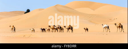Camel Caravan mit jungen Leuten durch Dünen in der Wüste, Mittlerer Osten, Arabische Halbinsel Stockfoto