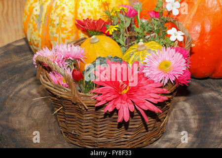 Blumen, verschiedenen Gartenblumen und dekorative Kürbisse in einer Korb, Tischdekoration, Gedeck auf einem Tisch Blumen, Thanksgiving Stockfoto