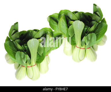 Bok Choy Stockfoto