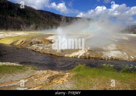 Cliff Geyser durchbrechenden im Black Sand Basin, Yellowstone-Nationalpark, Wyoming, USA, Nordamerika Stockfoto