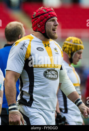 London, UK. 23. April 2016. James Haskell von Wespen, Sarazenen gegen Wespen, European Rugby Champions Cup, Halbfinale Madejski Stadium, 23. April 2016 in Reading, England. Bildnachweis: Gary Mitchell/Alamy Live-Nachrichten Stockfoto