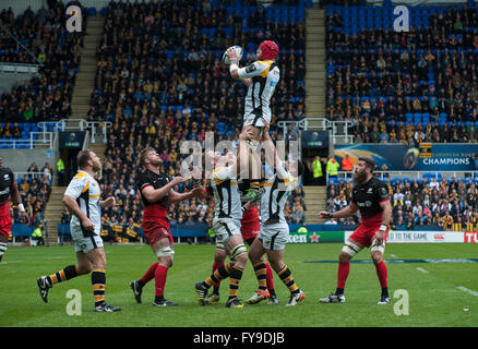 London, UK. 23. April 2016. James Haskell von Wespen Lineout, Sarazenen gegen Wespen, European Rugby Champions Cup, Halbfinale Madejski Stadium, 23. April 2016 in Reading, England zu gewinnen. Bildnachweis: Gary Mitchell/Alamy Live-Nachrichten Stockfoto