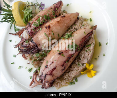 Ine Tintenfisch, gefüllt mit Reis und Zitrone Stockfoto