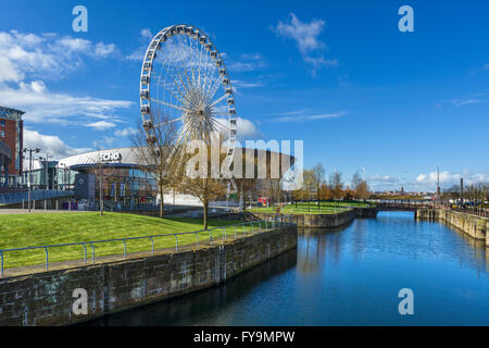 Die Echo Arena und Rad von Liverpool über Herzöge Dock, Albert Dock Bereich, Liverpool, Merseyside, England, UK Stockfoto