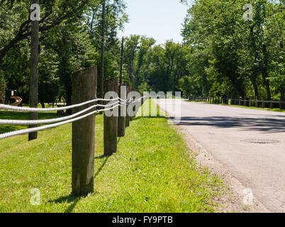 Kurze Holzzaun Beiträge mit drei parallele Linien entlang leere Straße in ländlicher Umgebung im Sommer, umgeben von Bäumen. Stockfoto