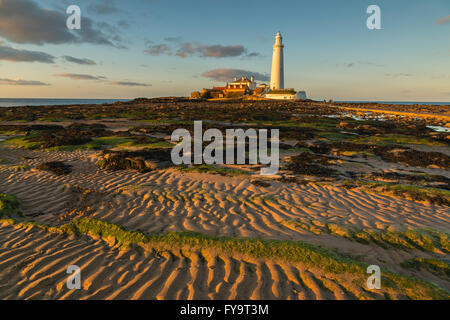 ST. Marys Leuchtturm Stockfoto