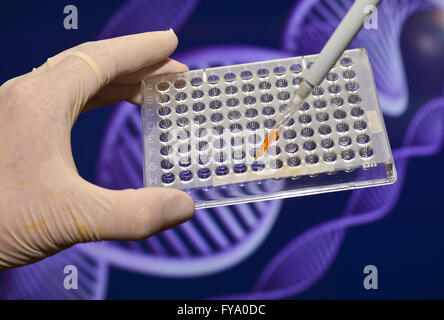 DNA-Tests in genetischen Laboratorien. Biologische wissenschaftliche Ausrüstung. Stockfoto