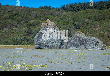 Ossagon Felsen. Prairie Creek Redwoods State Park, Kalifornien, USA. Stockfoto