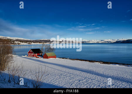 Winterlandschaft mit typischen roten Haus im Schnee bedeckt Küste, Senja, Troms, Norwegen, Europa Stockfoto