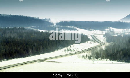Winter Reisen-Szene von einer Straße, die durch einen schwarzen Wald mit Schnee bedeckten Feldern und Ebenen. Farbbild in blau und schwarz. Stockfoto