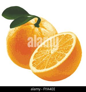 Orange mit grünen Blättern Stock Vektor