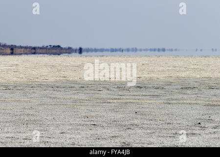 Aussicht, Salzpfanne, Etosha Nationalpark, Namibia Stockfoto