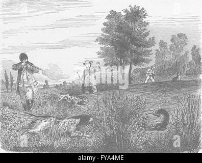 Frankreich: Hase-Dreharbeiten in Frankreich, antiken Drucken 1894 Stockfoto