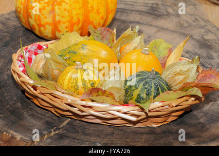 Korb mit ornamentalen Kürbisse, Herbstlaub, verschiedenen Nüssen und Physalis auf einem rustikalen Holzbrett, Thanksgiving Dekoration Stockfoto