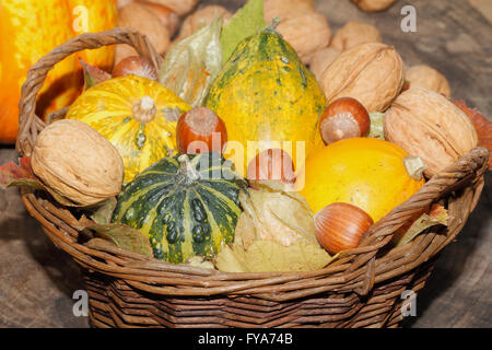 Korb mit ornamentalen Kürbisse, Herbstlaub, verschiedenen Nüssen und Physalis auf einem rustikalen Holzbrett, Thanksgiving Dekoration Stockfoto