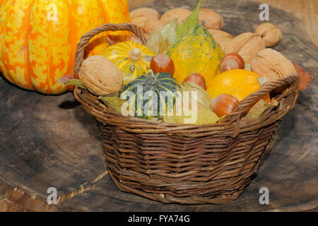 Korb mit ornamentalen Kürbisse, Herbstlaub, verschiedenen Nüssen und Physalis auf einem rustikalen Holzbrett, Thanksgiving Dekoration Stockfoto